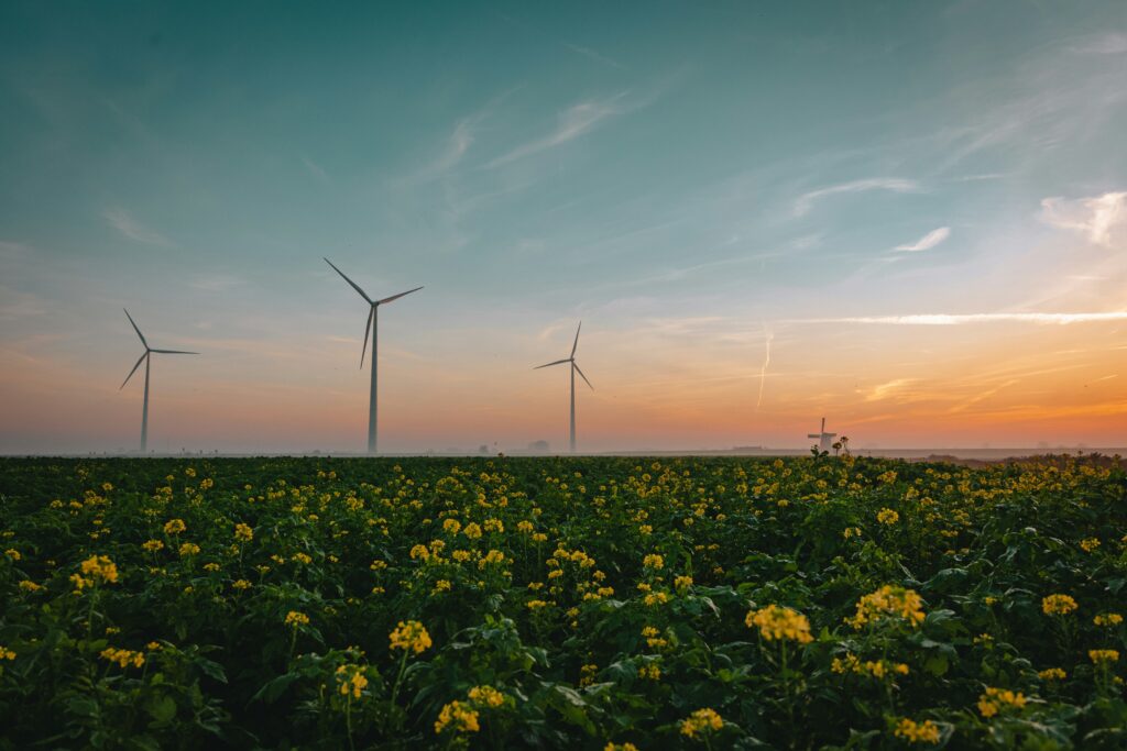 Un parco eolico con turbine in funzione su una collina al tramonto, a rappresentare le fonti rinnovabili necessarie per la sostenibilità digitale e il fabbisogno energetico in Italia.